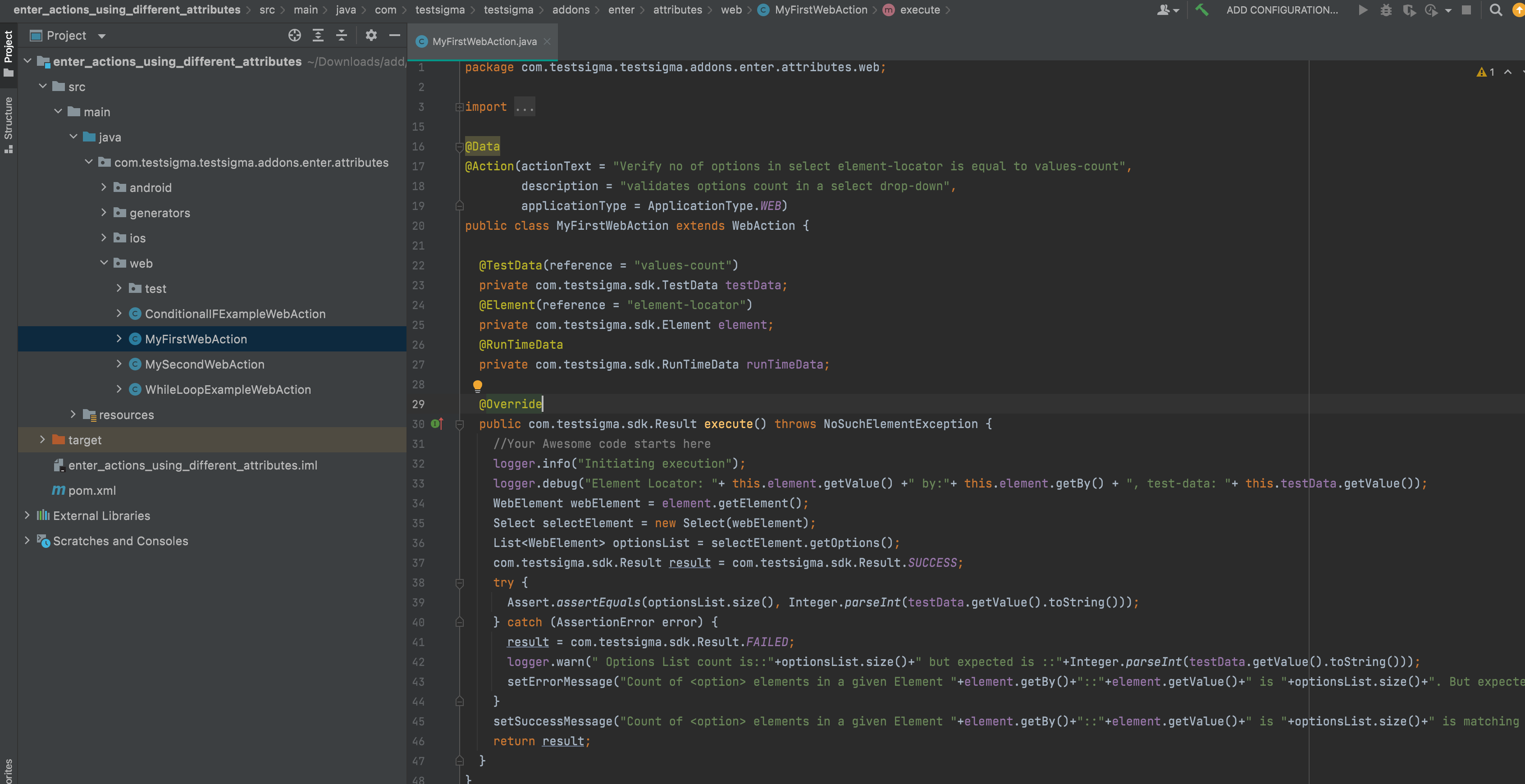 Project Explorer view in IntelliJ for an Addon